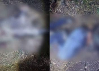 7 ejecutados en campamento de Chilchota - El día de Michoacán