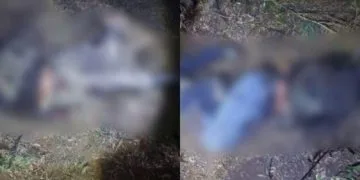 7 Ejecutados En Campamento De Chilchota - El Día De Michoacán