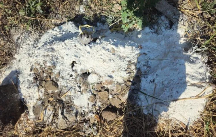 En La Colonia Lázaro Cárdenas De Apatzingán, Encuentran Cadáver Maniatado, Decapitado Y En Estado De Putrefacción 20 Desactiva Fiscalía General, Alerta Alba Tras Ser Localizada Mujer Reportada Como Desaparecida En Morelia