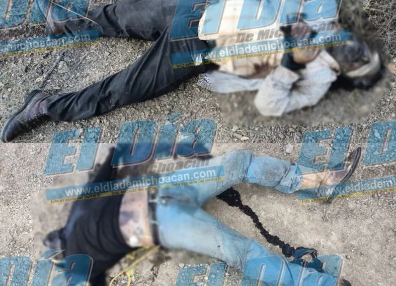 Cadaveres Tumbiscatio - El Día De Michoacán