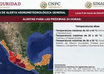 Detienen camioneta cargada con madera presuntamente Ilegal