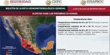 Detienen Camioneta Cargada Con Madera Presuntamente Ilegal