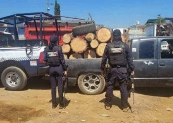 Detienen camioneta cargada con madera presuntamente Ilegal