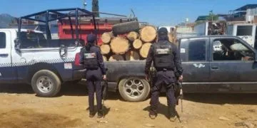 Detienen Camioneta Cargada Con Madera Presuntamente Ilegal
