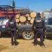 Detienen Camioneta Cargada Con Madera Presuntamente Ilegal 8 Detienen Camioneta Cargada Con Madera Presuntamente Ilegal