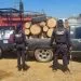 Detienen Camioneta Cargada Con Madera Presuntamente Ilegal
