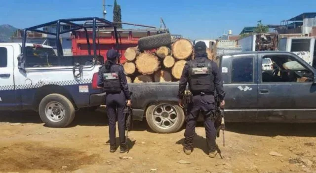 Detienen Camioneta Cargada Con Madera Presuntamente Ilegal 21 Detienen Camioneta Cargada Con Madera Presuntamente Ilegal