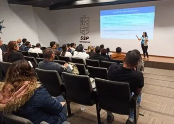 Detienen Camioneta Cargada Con Madera Presuntamente Ilegal