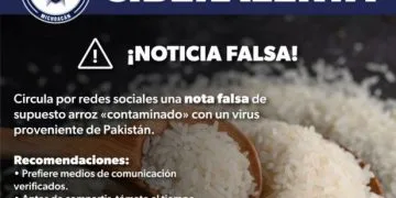 Ciberalerta Por Noticia Falsa De Arroz Contaminado - El Día De Michoacán