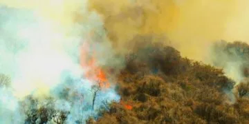 Aseguran Camionetas Robadas Y Equipo Táctico, Tras Balacera En La Piedad