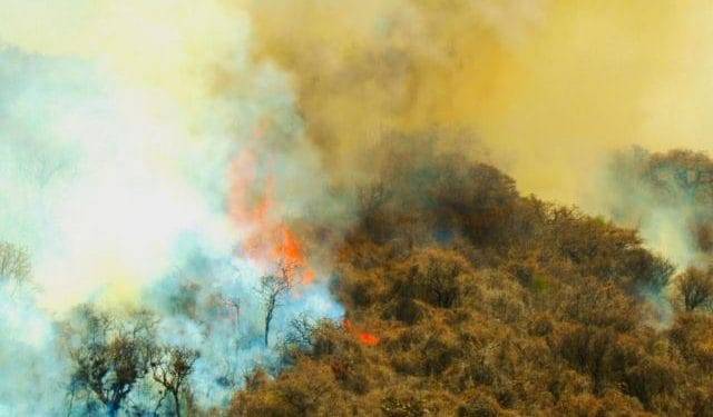 Inician sobrevuelo de dron para atender incendio en el cerro del Quinceo 1 Aseguran camionetas robadas y equipo táctico, tras balacera en La Piedad