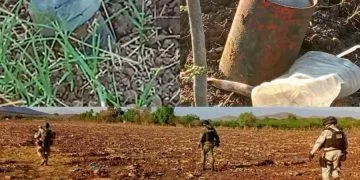 Detienen Camioneta Cargada Con Madera Presuntamente Ilegal