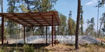 Aseguran Camionetas Robadas Y Equipo Táctico, Tras Balacera En La Piedad
