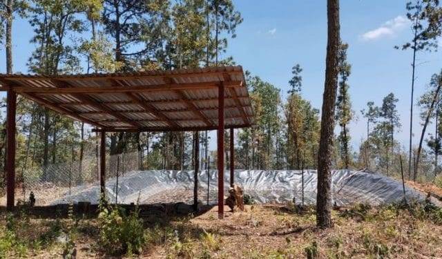Tras cateo, asegura Fiscalía General predio relacionado en plantación ilegal de aguacate 1 Aseguran camionetas robadas y equipo táctico, tras balacera en La Piedad