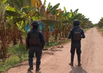 Relacionan Al «Camaleón» Con Levantón Y Asesinato Del Sobrino De Joan Sebastián