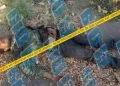 Tiran Un Cadáver Con Disparos De Arma De Fuego En La Loma De Los Hoyos De Apatzingán
