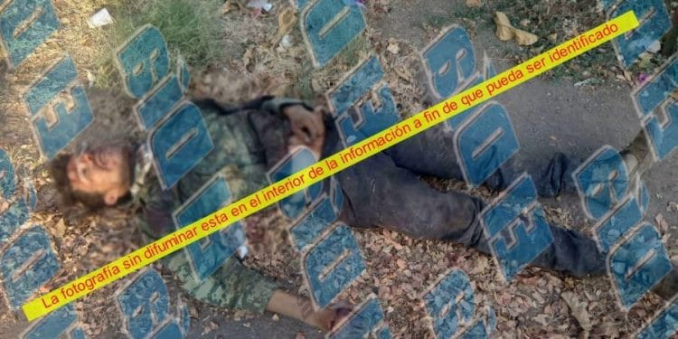 Tiran un cadáver con disparos de arma de fuego en La Loma de Los Hoyos de Apatzingán 1 Tiran un cadáver con disparos de arma de fuego en La Loma de Los Hoyos de Apatzingán