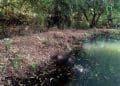 Encuentran cadáver flotando en un ojo de Agua en Chilchota