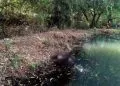 Encuentran Cadáver Flotando En Un Ojo De Agua En Chilchota