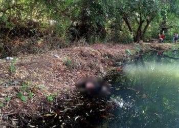 Encuentran cadáver flotando en un ojo de Agua en Chilchota