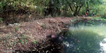 Encuentran Cadáver Flotando En Un Ojo De Agua En Chilchota 23 Encuentran Cadáver Flotando En Un Ojo De Agua En Chilchota
