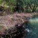 Encuentran Cadáver Flotando En Un Ojo De Agua En Chilchota 5 Encuentran Cadáver Flotando En Un Ojo De Agua En Chilchota