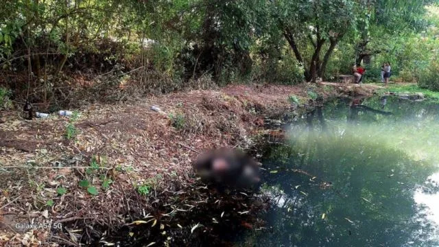 Encuentran Cadáver Flotando En Un Ojo De Agua En Chilchota