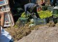 Ocho Heridos Tras Volcadura De Camioneta Limonera 29 Identifican A Uno De Los Cinco Ejecutados En Un Cerro De Zinapécuaro