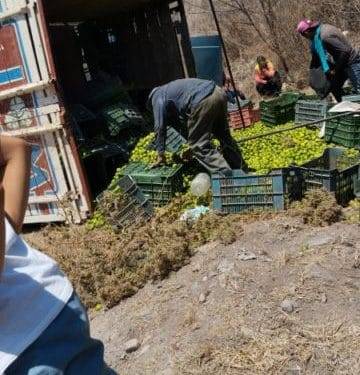 Ocho heridos tras volcadura de camioneta limonera 1 Identifican a uno de los cinco ejecutados en un cerro de Zinapécuaro