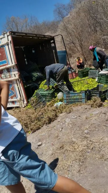 Identifican A Uno De Los Cinco Ejecutados En Un Cerro De Zinapécuaro