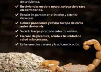 El Voto Es Secreto, Pero Por El Prd No Voy A Votar: Toño Navarrete