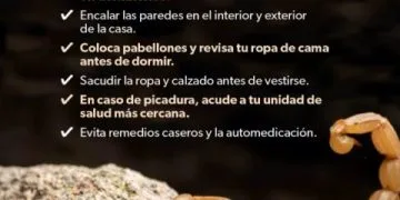 El Voto Es Secreto, Pero Por El Prd No Voy A Votar: Toño Navarrete
