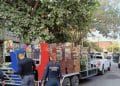Agentes Federales Y Estatales Aseguran 173 Máquinas Tragamonedas En Lc 31 Brinda Segob Atención A Candidatas Y Candidatos En Proceso Electoral