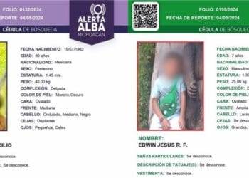Aseguran 2 vehículos y un chasis con reporte de robo y alteraciones en sus medios de identificación