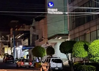 Fanny Arreola Reforesta Área Verde En Apatzingán; Se Compromete A Plantar Un Árbol Por Cada Voto