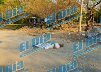Fanny Arreola reforesta área verde en Apatzingán; se compromete a plantar un árbol por cada voto