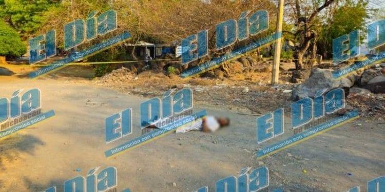 Fanny Arreola reforesta área verde en Apatzingán; se compromete a plantar un árbol por cada voto