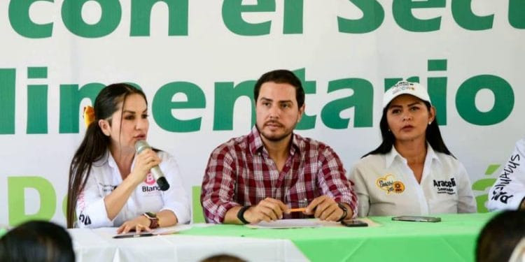 En Tepalcatepec y Coalcomán, como en México está por cristalizarse el triunfo de este gran proyecto colectivo: Araceli Saucedo