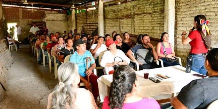 Fanny Arreola reforesta área verde en Apatzingán; se compromete a plantar un árbol por cada voto