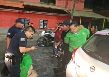 Fanny Arreola reforesta área verde en Apatzingán; se compromete a plantar un árbol por cada voto