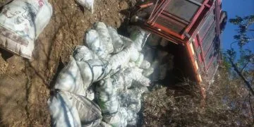 Vuelca Camioneta En Las Ordeñitas 22 En Ordenitas Mpio De Paracuaro - El Día De Michoacán