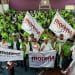 Vienen Tiempos Mejores Para El Distrito Federal: José Luis Cruz Lucatero 7 ¿Cuándo Termina La Tercera Onda De Calor? Ssm Llama A Extremar Precauciones