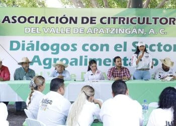 En Tepalcatepec y Coalcomán, como en México está por cristalizarse el triunfo de este gran proyecto colectivo: Araceli Saucedo