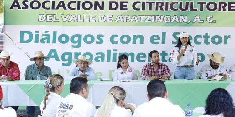 En Tepalcatepec y Coalcomán, como en México está por cristalizarse el triunfo de este gran proyecto colectivo: Araceli Saucedo