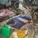 Recupera Fge Motocicleta Y Motor Con Alteraciones - El Día De Michoacán