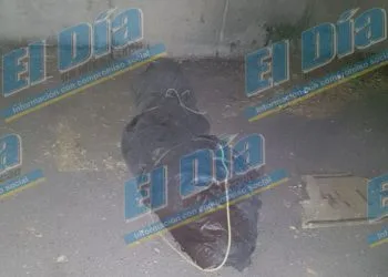 Listo Distrito 23 Para La Jornada Electoral: Neftalí Jiménez