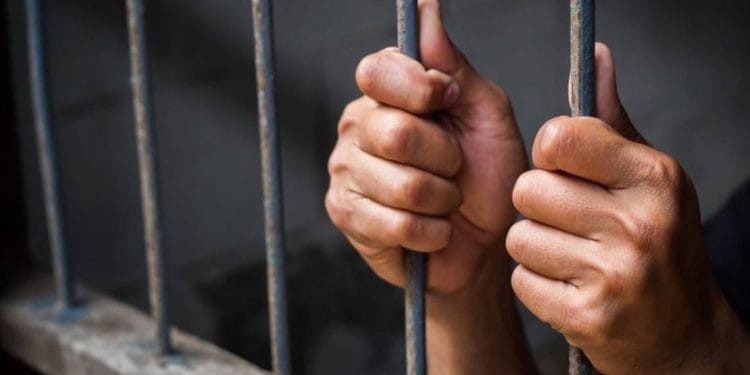 Vinculan a proceso a presunto responsable de ocasionar daño patrimonial a productor de guayaba en Taretan 1 Vinculan a proceso a Oscar Agustín, presunto responsable de robo de una motocicleta en Apatzingán