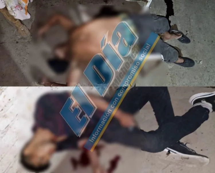 Aseguran 2 Vehículos Y Un Chasis Con Reporte De Robo Y Alteraciones En Sus Medios De Identificación