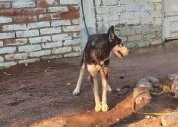 Aparatoso choque en Morelia