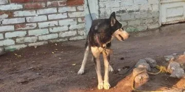 Aparatoso Choque En Morelia